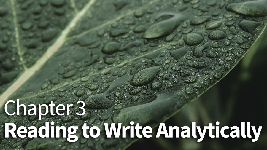 Chapter 3 Cover - Wet Leaves