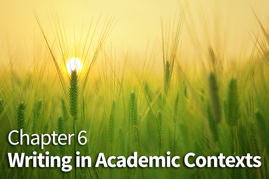 Chapter 6 Cover - Barley Field Sunrise