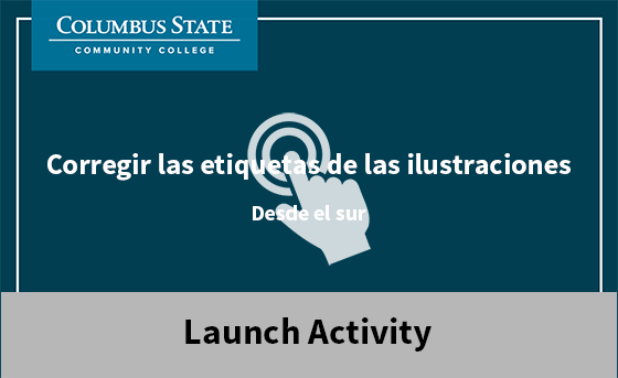 Launch Activity Thumbnail